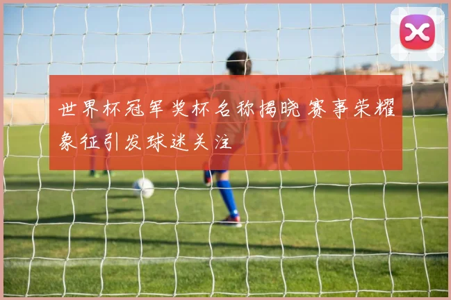 世界杯冠军奖杯名称揭晓 赛事荣耀象征引发球迷关注