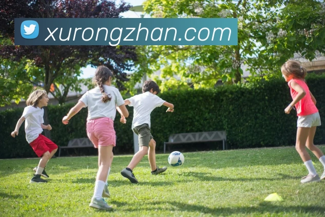 世界杯官网平台平台生态图